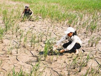 Thư mời viết bài lần 2 cho Hội thảo khoa học quốc tế “Cải thiện sinh kế cho phụ nữ trong bối cảnh biến đổi khí hậu và rủi ro thiên tai”